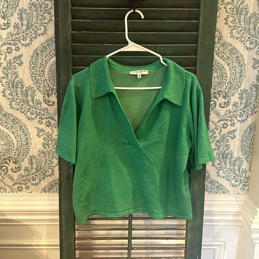 Green vneck collared sweater.